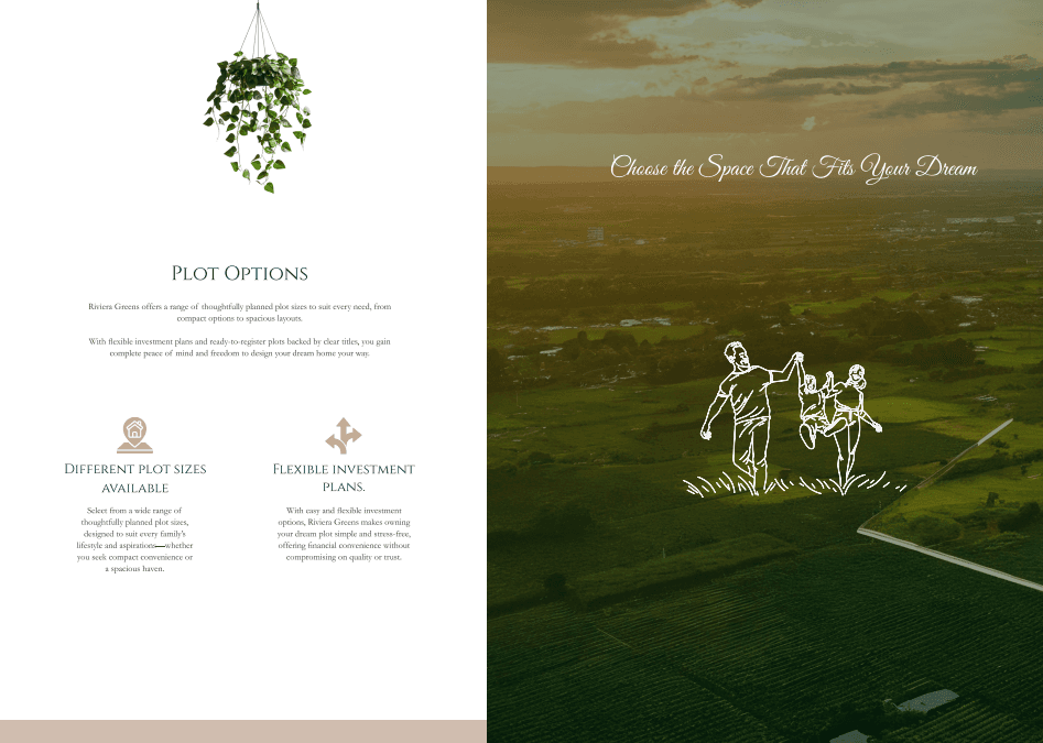 Plot options and layouts